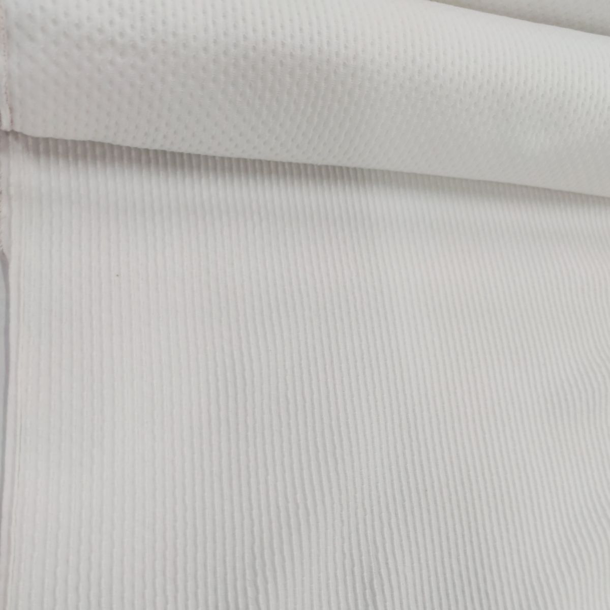 Détail coton blanc - Coton Côtelé blanc 300x123cm