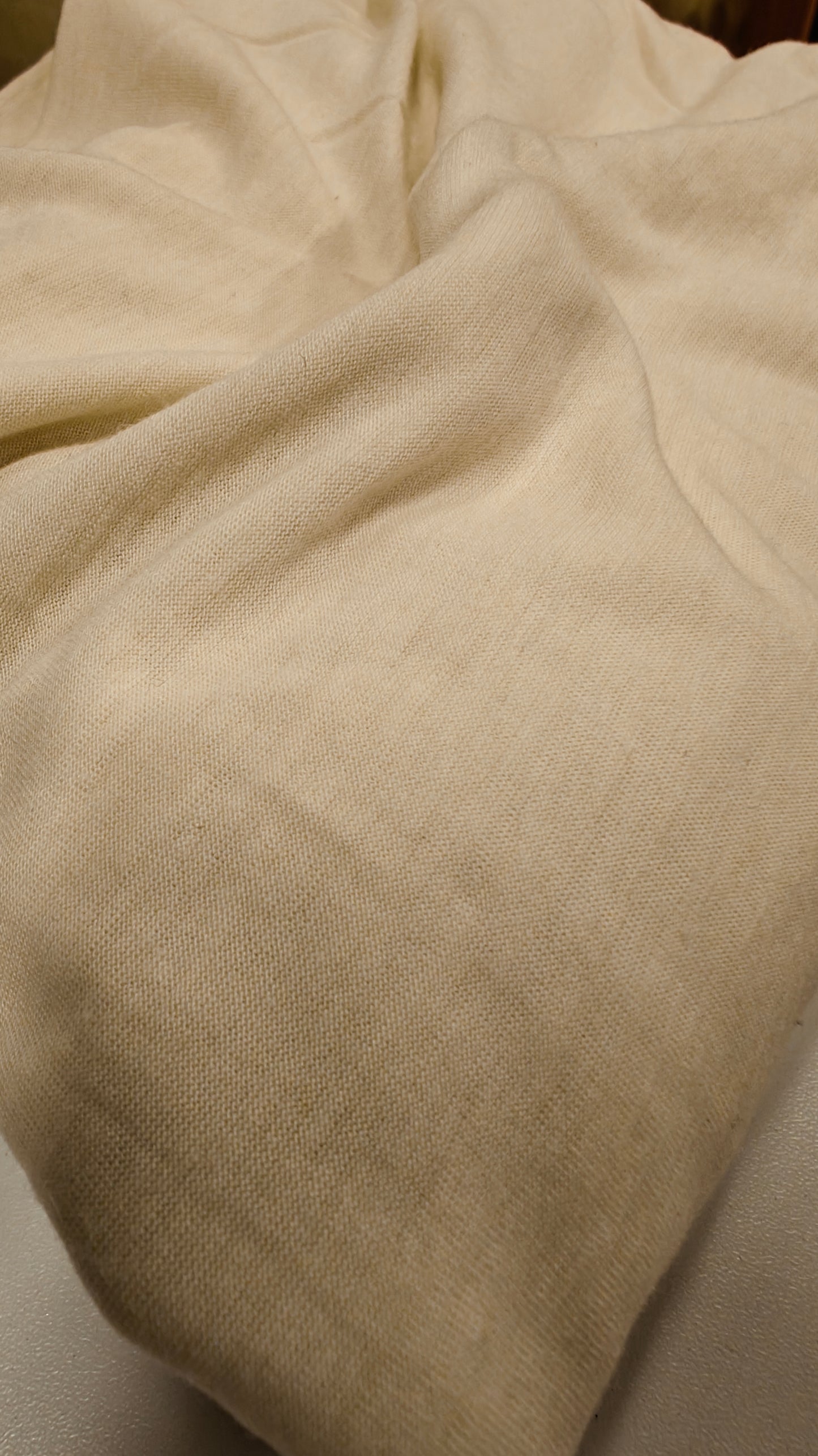 Détail jersey blanc - Jersey Coton doux blanc cassé 150x135cm