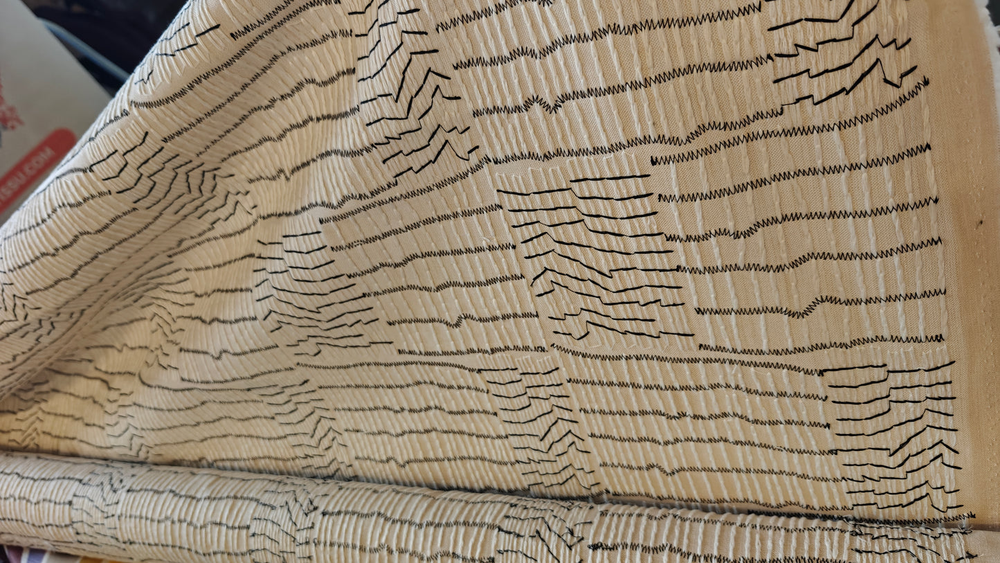 Texture Plissee Broderie Noire Ecru - 140cm