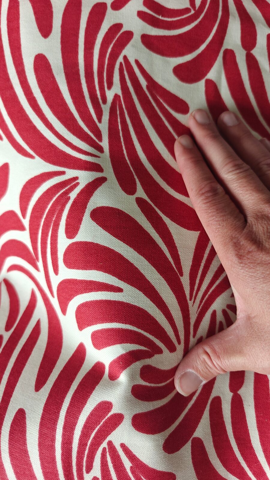Coton 100% Tropical Rouge et Ecru - vue 3
