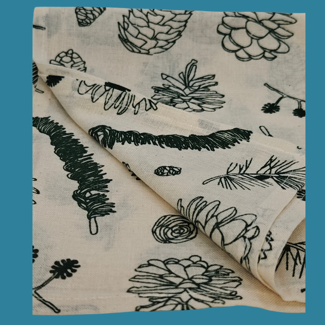 Vue rapprochée coton