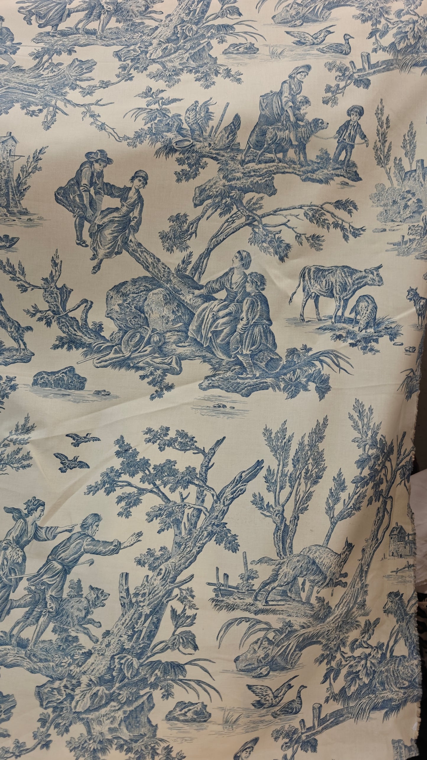 Toile de Jouy Bleue Ecru - 150cm