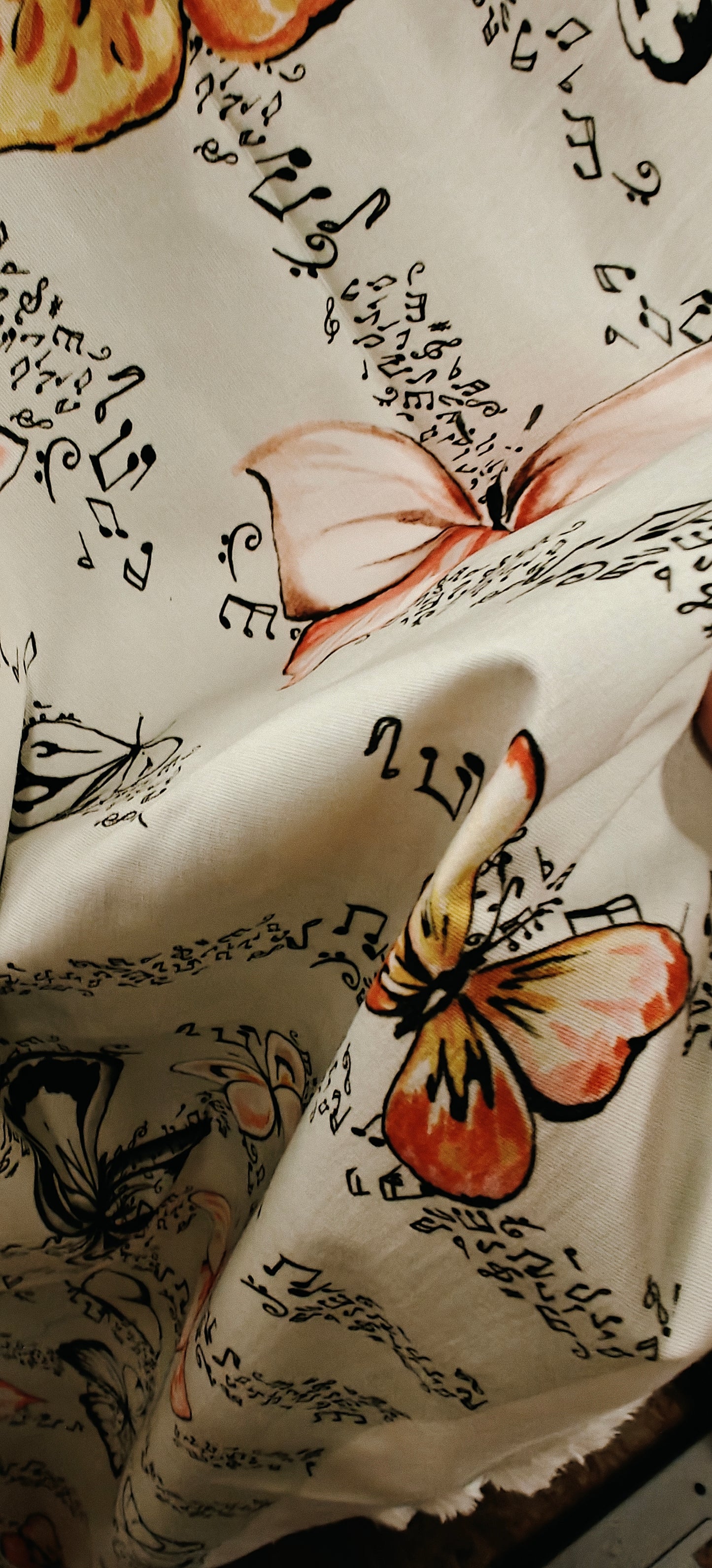 Ameublement Papillon 300x148cm